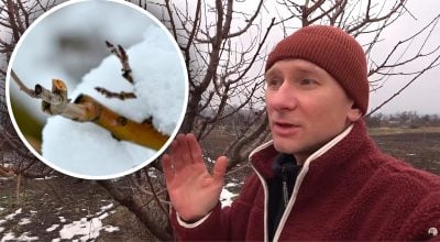 Фото новини