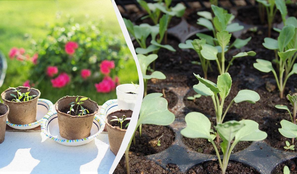 Фото новини