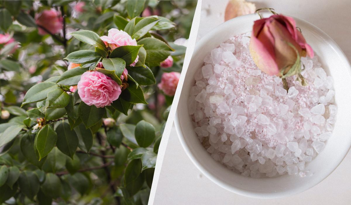 Фото новини