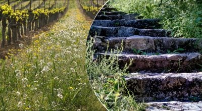 Фото новини