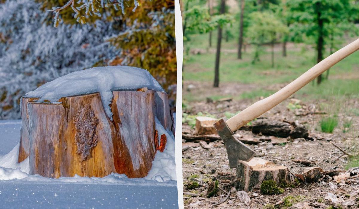 Фото новини