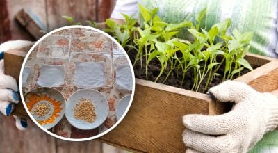 Фото новини