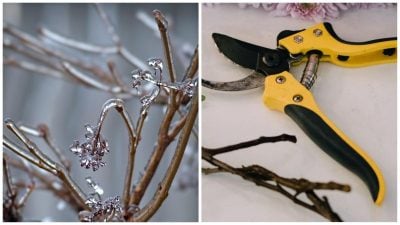 Фото новини