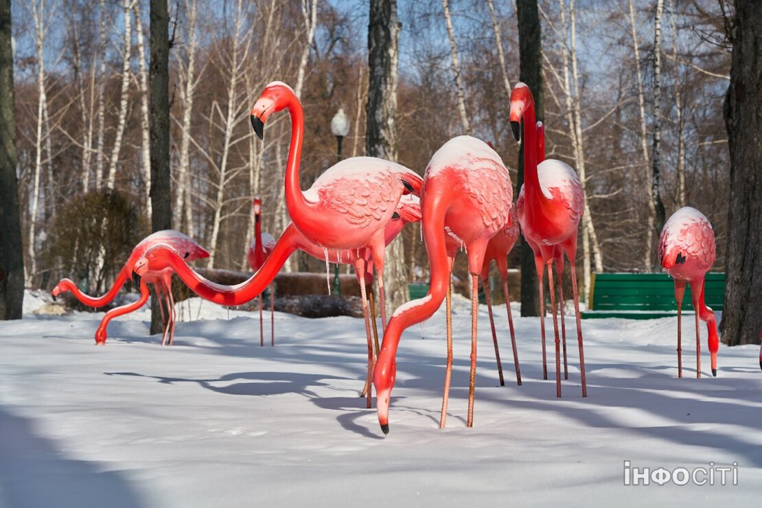 Фото новини