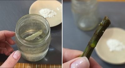 Фото новини