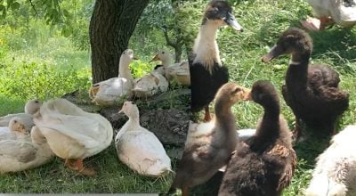 Фото новини