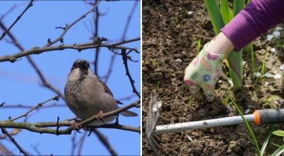 Фото новини