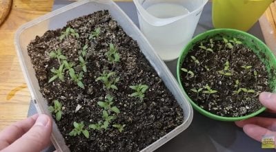 Фото новини