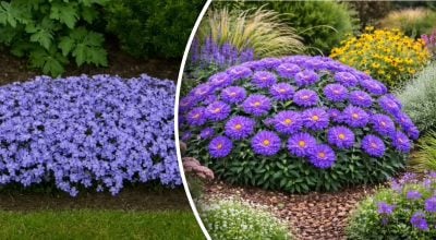 Фото новини