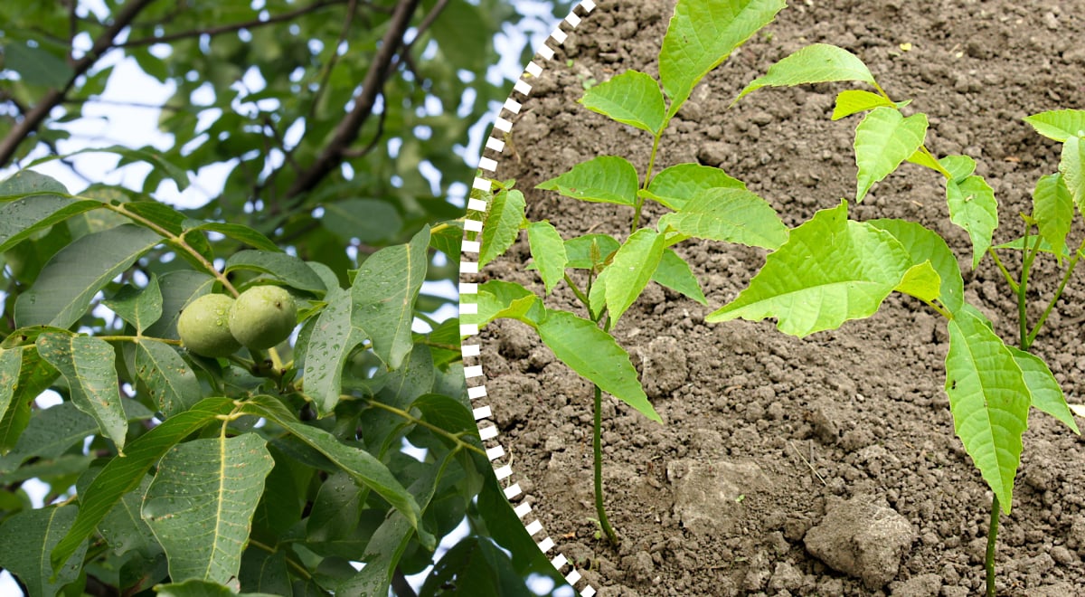 Фото новини