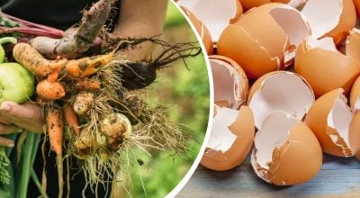 Фото новини