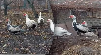 Фото новини