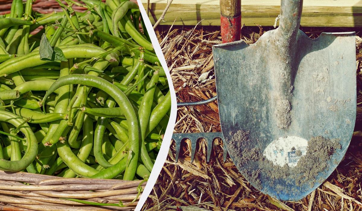 Фото новини