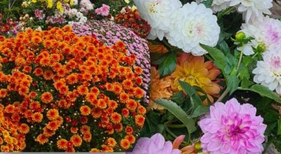 Фото новини