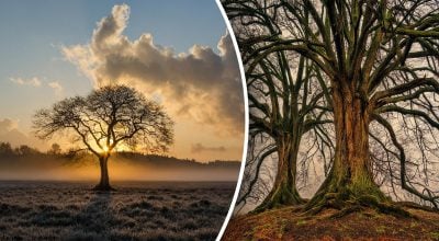 Фото новини