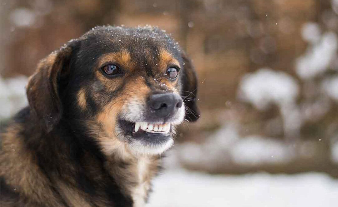 Фото новини