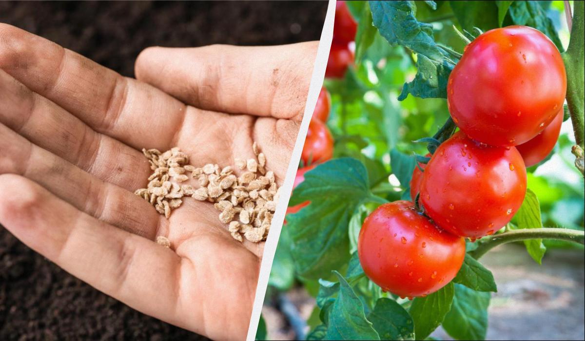 Фото новини