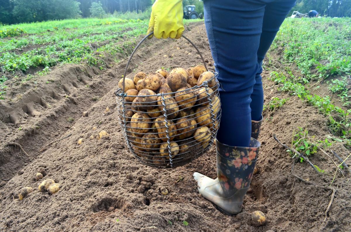 Фото новини