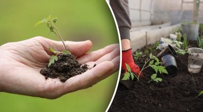 Фото новини