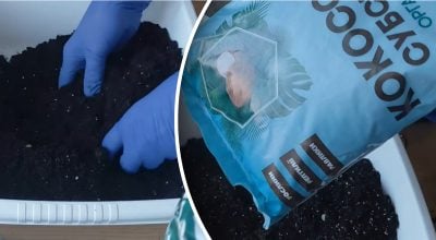 Фото новини