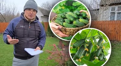 Фото новини