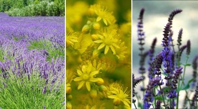 Фото новини