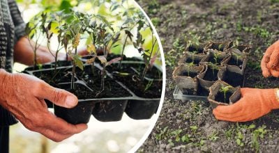 Фото новини