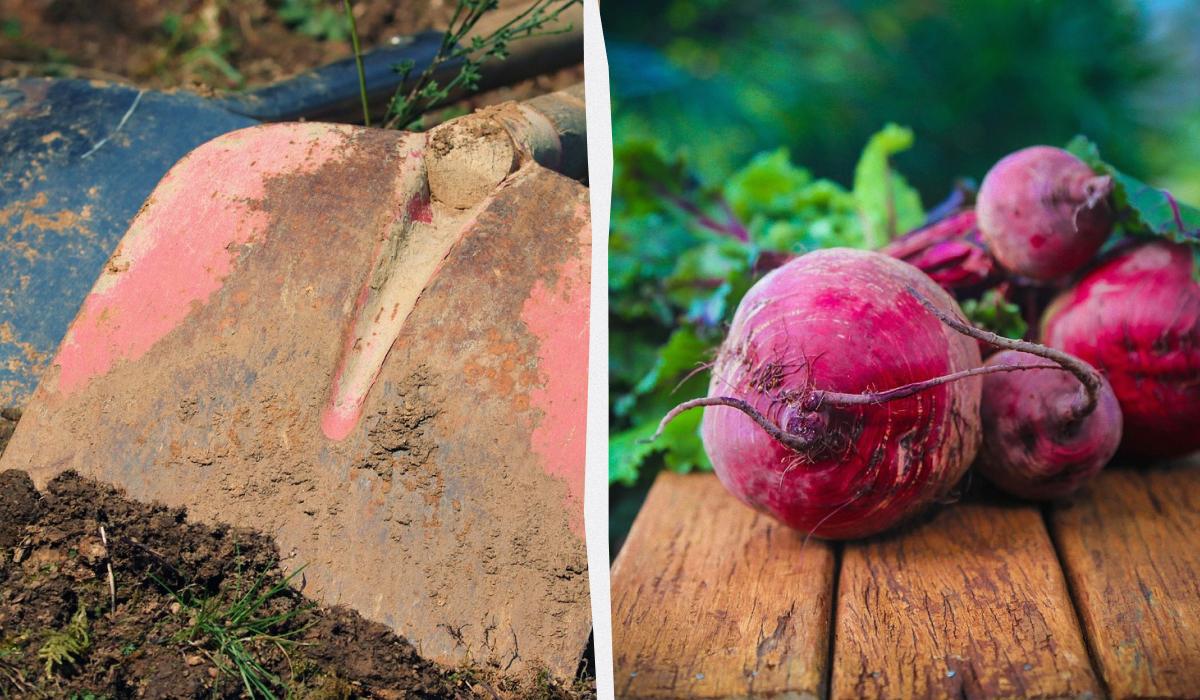 Фото новини