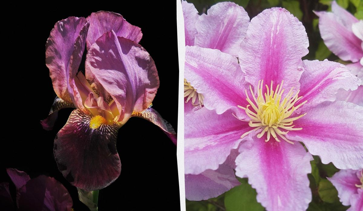 Фото новини