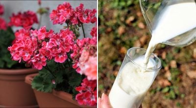 Фото новини