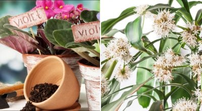 Фото новини