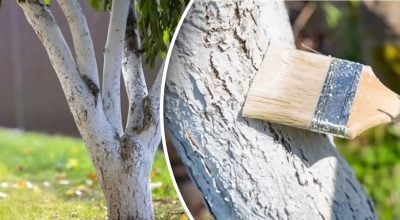 Фото новини