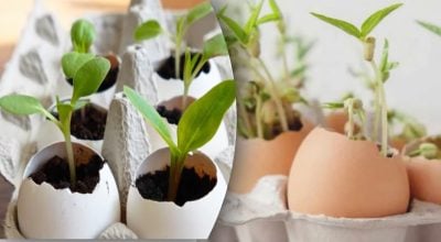 Фото новини