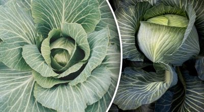 Фото новини