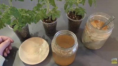 Фото новини