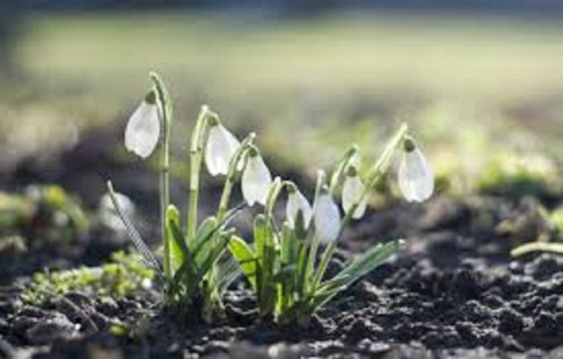 Фото новини