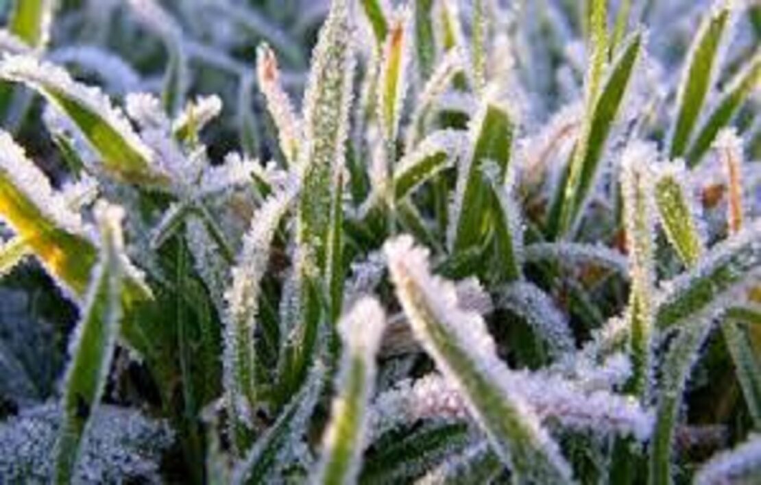 Фото новини