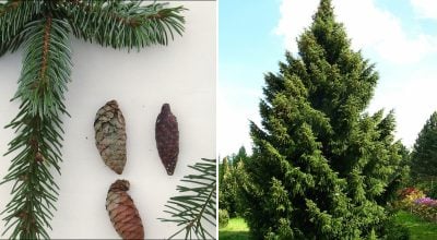 Фото новини