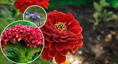 Фото новини