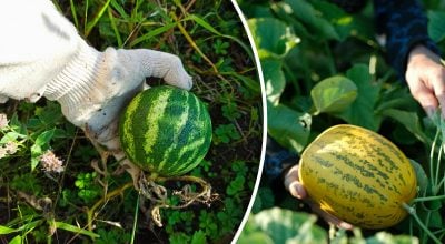 Фото новини