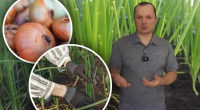 Фото новини