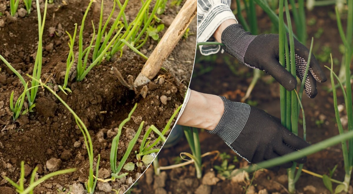 Фото новини