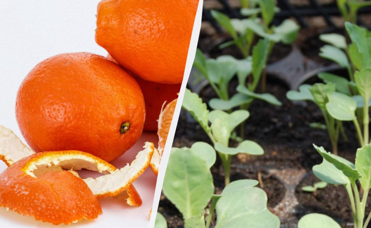 Фото новини