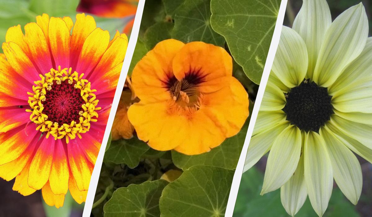 Фото новини