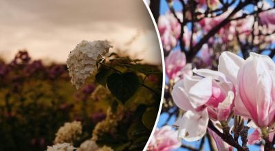 Фото новини