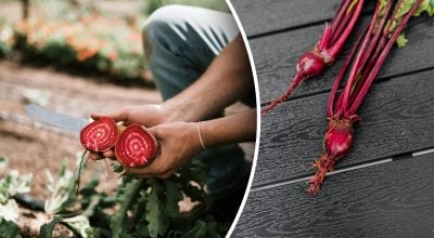 Фото новини