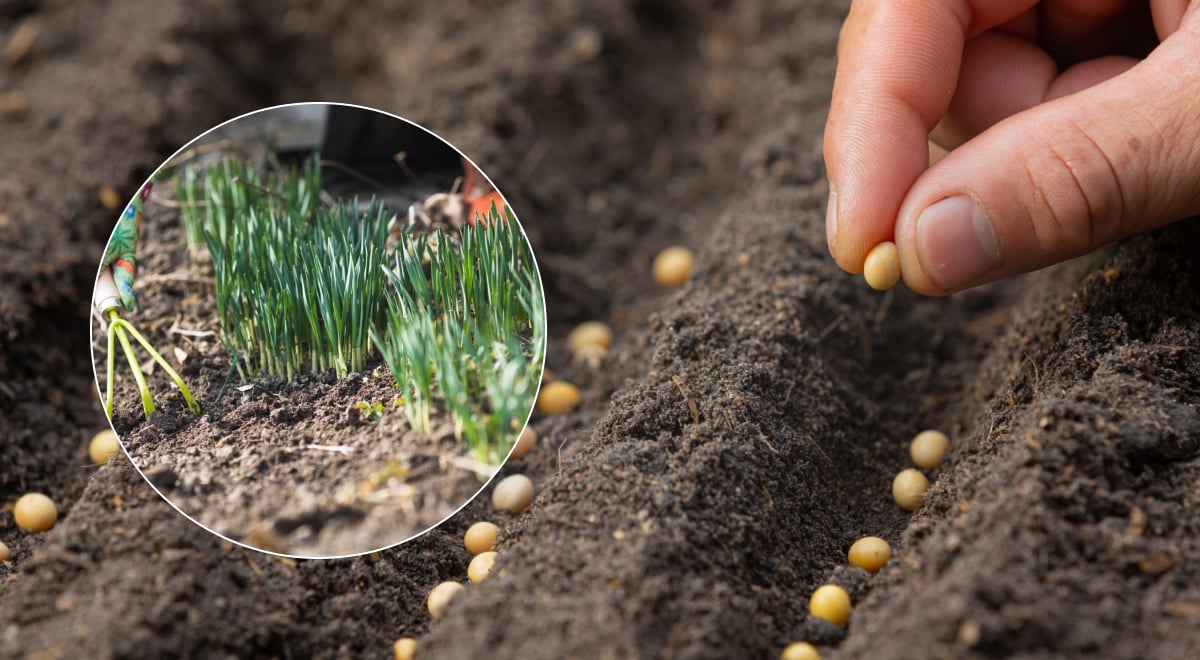 Фото новини