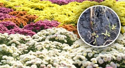 Фото новини