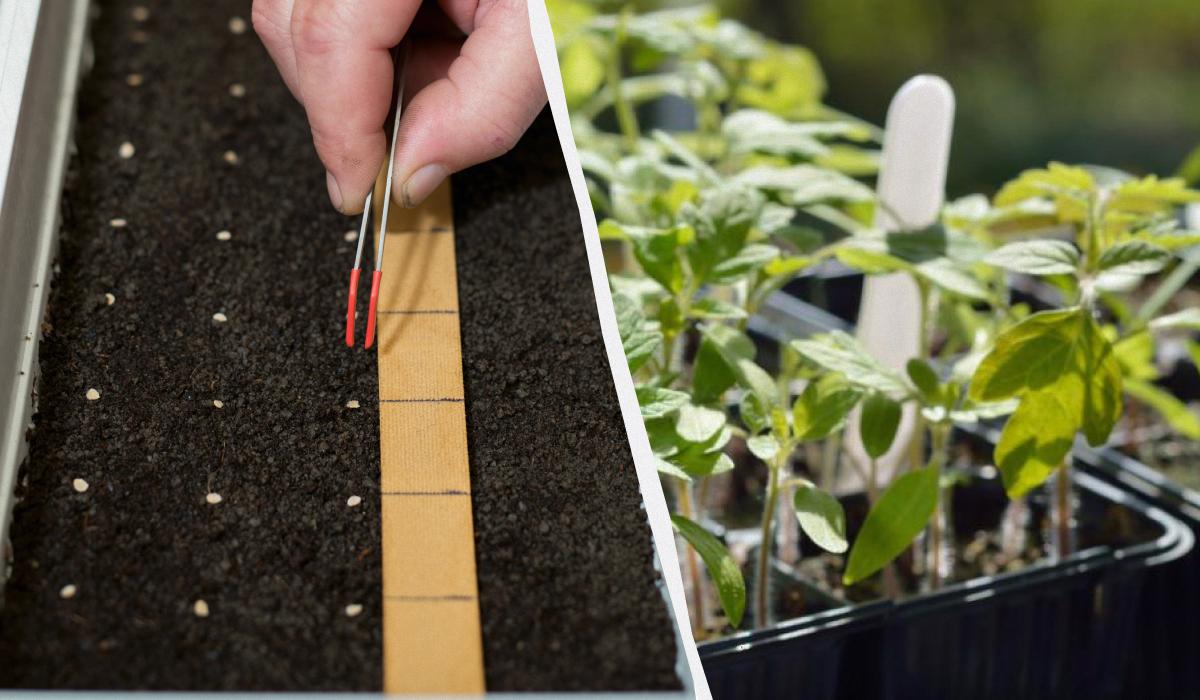 Фото новини