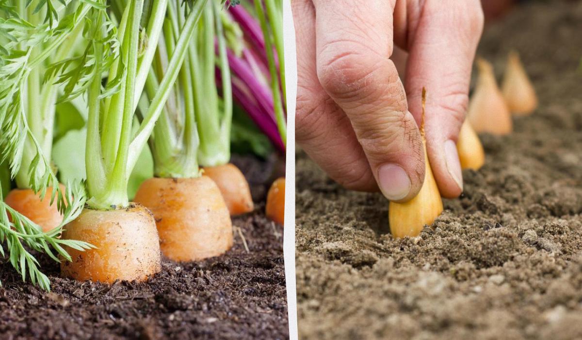 Фото новини